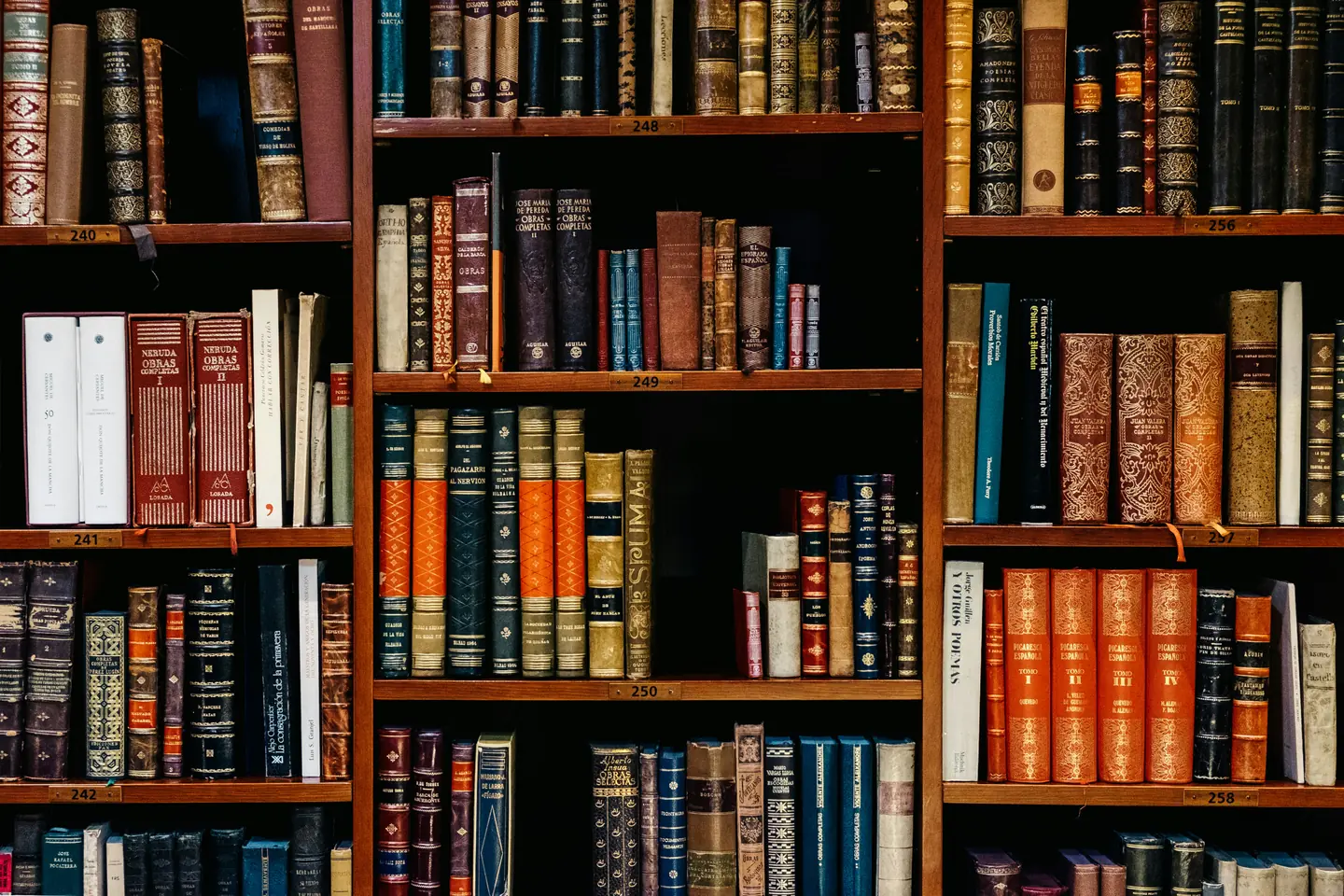 Книжные полки библиотеки, плотно заставленные старинными томами в кожаных переплётах с золотым тиснением на корешках